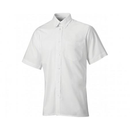 Dickies Oxford Weave Short Sleeve Shirt SH64250 - WHITE