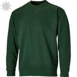 Dickies Crewneck Sweatshirt SH11125 - GREEN