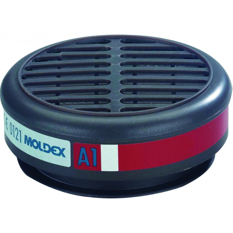 Moldex 8100 Gas Filter 1 Pair